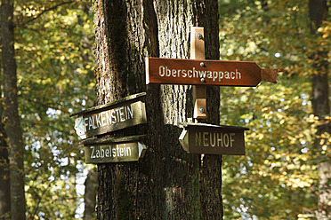 Germany, Bavaria, Signposts in forest - SIEF002369