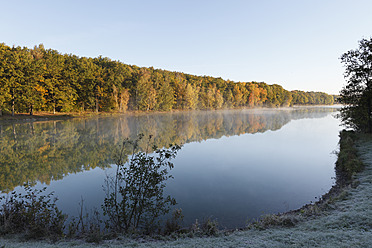 Deutschland, Bayern,Ellertshauser See, Blick auf nebligen See mit Bäumen - SIEF002352