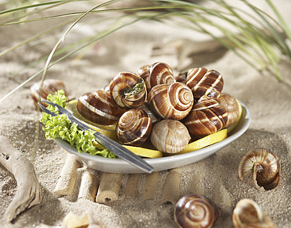 Edible snails with salad and lemon in plate, close up - JLF000362