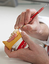 Dentist with dentures in dental laboratory - WWF002129