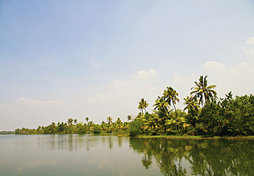 Indien, Kerala, Blick auf Backwater mit Bäumen - MBEF000256