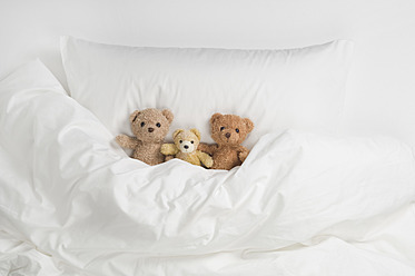 Teddybär auf dem Bett - CRF002121