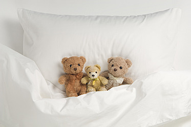 Teddybär auf dem Bett - CRF002111