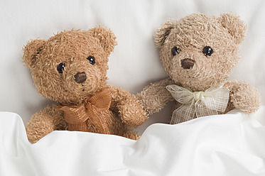 Teddybär auf dem Bett - CRF002110