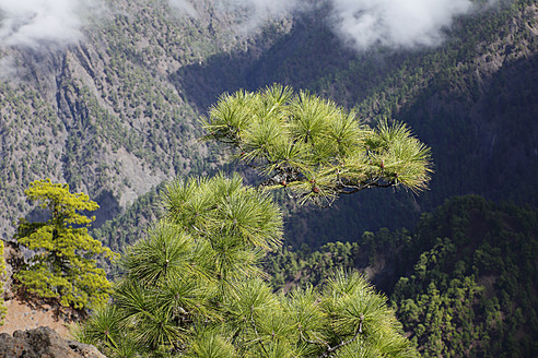 Spanien, Kanarische Inseln, La Palma, Blick auf den Nationalpark Caldera de Taburiente - SIEF002431