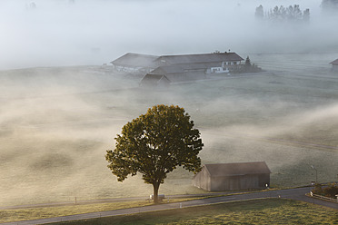 Deutschland, Bayern, Kleinweil, Blick auf Haus im Nebel - SIEF002416