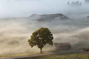 Germany, Bavaria, Kleinweil, View of house in fog - SIEF002416