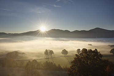 Deutschland, Bayern, Loisacher Moor, Blick auf Nebel bei Sonnenaufgang - SIEF002414