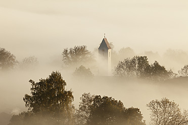 Germany, Bavaria, Zell, View of tree in fog - SIEF002413