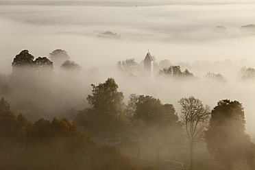 Germany, Bavaria, Zell, View of tree in fog - SIEF002410