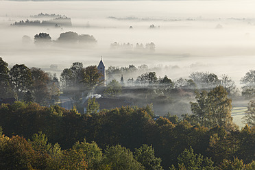 Deutschland, Bayern, Zell, Blick auf Baum im Nebel - SIEF002407