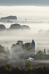 Deutschland, Bayern, Zell, Blick auf Baum im Nebel - SIEF002405