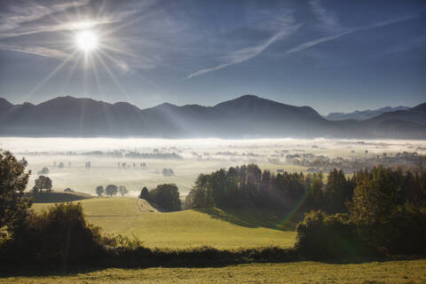 Deutschland, Bayern, Kleinweil, Blick auf Baum im Nebel, lizenzfreies Stockfoto