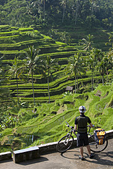 Indonesien, Bali, Tegalalang, Mann mit Fahrrad und Blick auf Terrassenfeld - DSF000212