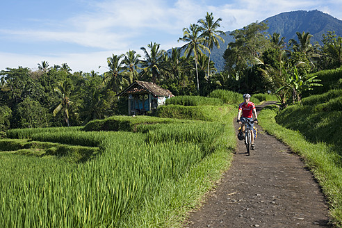 Indonesien, Bali, Tegalalang, Mann radelt über Landstraße - DSF000219