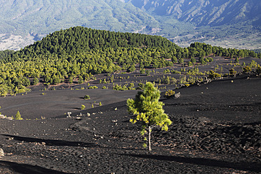 Spanien, La Palma, Blick auf Llanos del Jable - SIEF002473