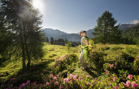 Österreich, Land Salzburg, Junge Frau steht auf einer Almwiese und beobachtet die Landschaft, lizenzfreies Stockfoto