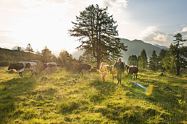 Österreich, Bundesland Salzburg, Frau und Bauer beim Spaziergang auf einer Almwiese mit Kühen - HHF004011