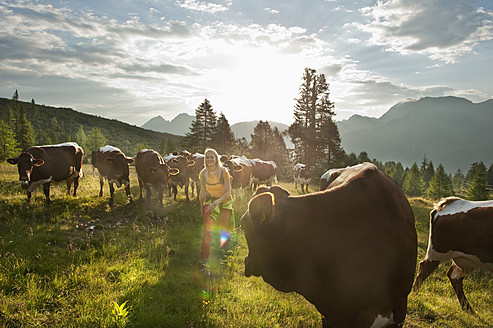 Austria, Salzburg County, Young woman walking in alpine meadow with cows - HHF004012