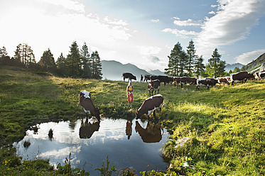 Österreich, Land Salzburg, Frau und Junge stehen auf einer Almwiese mit Kühen - HHF004013