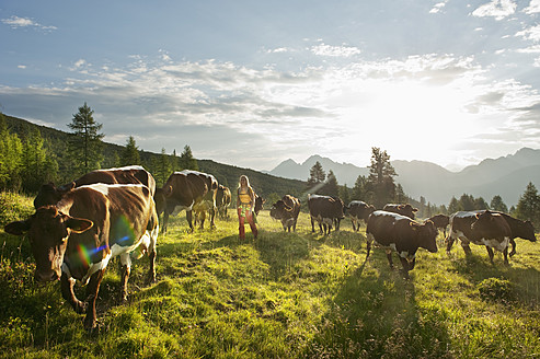 Austria, Salzburg County, Young woman walking in alpine meadow with cows - HHF004014