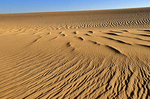 Algerien, Sahara, Blick auf Sanddünen - ESF000161