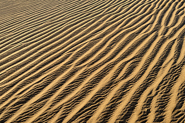 Algeria, Sahara, View of sand dunes - ESF000162