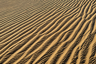 Algerien, Sahara, Blick auf Sanddünen - ESF000162