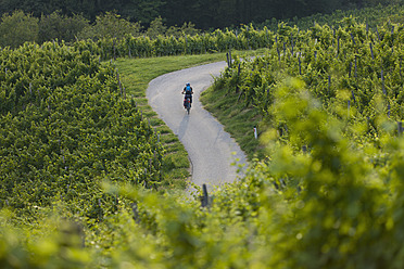 Slowenien, Spicnik, Älterer Mann radelt durch Weinberg - DSF000432