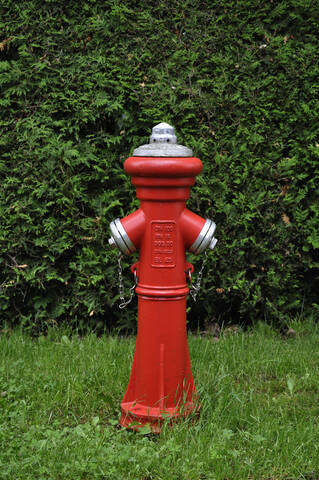 Deutschland, Feuerhydrant auf Gras vor Hecke, lizenzfreies Stockfoto