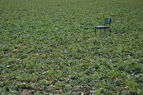 Deutschland, Blick auf grünen Stuhl im Feld - AXF000013