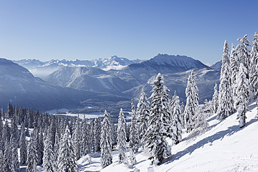 Österreich, Steiermark, Blick auf eine verschneite Tanne auf einem Berg - SIEF002530