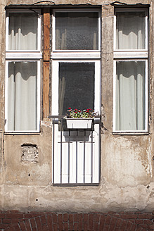 Deutschland, Berlin, Fenster mit roten Blumen - NGF000001