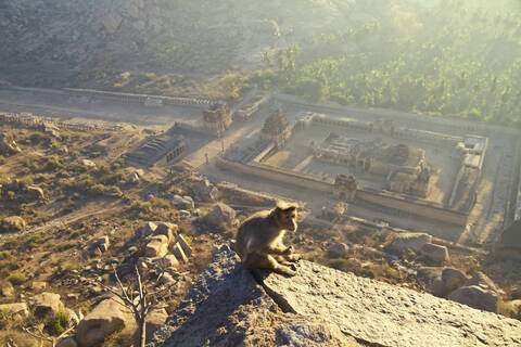 Indien, Karnataka, Affe sitzt auf Felsen, Soolai-Basar in Hampi, lizenzfreies Stockfoto