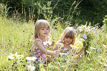 Österreich, Land Salzburg, Mädchen pflücken Blumen auf einer Sommerwiese - HHF004073