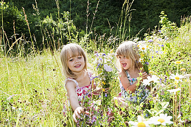 Austria, Salzburg County, Girls picking flowers in summer meadow - HHF004074