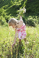 Austria, Salzburg County, Girl picking flowers in summer meadow, smiling, portrait - HHF004075