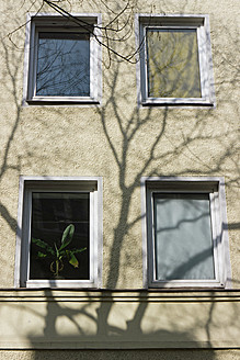 Deutschland, Bayern, München Westend, Fassade mit Pflanze am Fenster - LFF000414