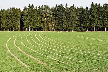 Deutschland, Bayern, Blick auf Felder und Wald - LFF000405