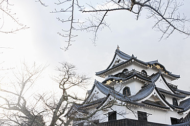Japan, Hikone, Blick auf die Burg Hikone - FLF000037