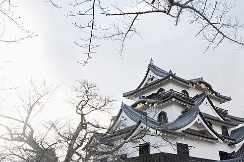 Japan, Hikone, View of Hikone Castle - FLF000037