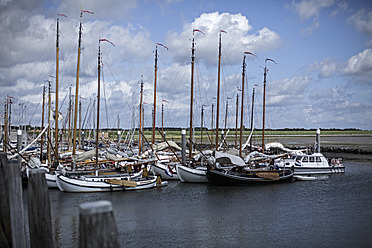 Netherlands, Sail boats moored at dockside - DWF000162
