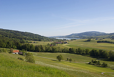 Österreich, Blick auf eine Agrarlandschaft im Sommer - WWF002282