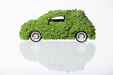 Auto mit Gras bedeckt auf weißem Hintergrund - RBF000799