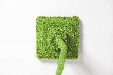Power outlet covered with grass against white background - RBF000806