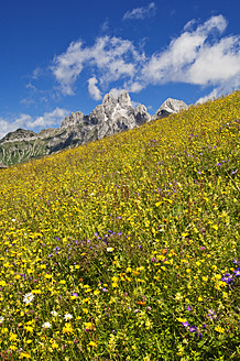 Österreich, Land Salzburg, Blick auf die Bischofsmutze mit Almwiese im Sommer - HHF004133