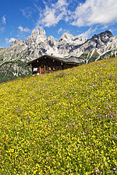 Österreich, Land Salzburg, Blick auf die Bischofsmutze mit Almwiese im Sommer - HHF004135