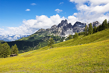 Austria, Salzburg County, View of Mount Bischofsmutze with alpine meadow during summer - HHF004140