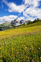 Österreich, Land Salzburg, Blick auf die Bischofsmutze mit Almwiese im Sommer - HHF004141