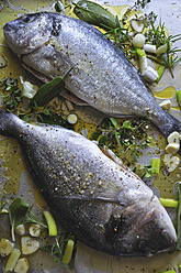 Zwei Goldbrassen mit Kräutern und Weißwein, Nahaufnahme - AXF000039